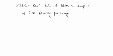 in-the-rna-silencing-pathway-the-risc-proteiln-complex-acts-by-blacking-translation-spacific-mrnas-suppression-risc-targets-mrnas-chararo-tound-eoressd-proceins-risc-targets-mrnas-that-powno-98593