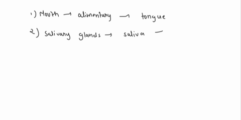 identify-the-main-regions-of-the-alimentary-canal-and-associated-organs-limited-to-mouth-salivary-glands-oesophagus-stomach-small-intestine-duodenum-and-ileum-pancreas-liver-gall-bladder-and-47163