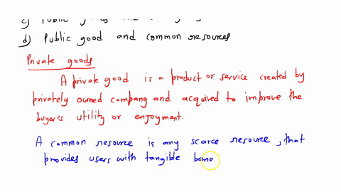 which-categories-of-goods-are-rival-in-consumption-a-private-goods-and-club-goods-b-private-goods-an-77513