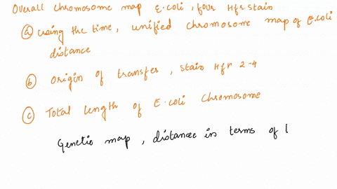 in-order-to-determine-the-overall-chromosome-map-for-e-coli-four-hfr-strains-were-obtained-from-a-prototrophic-streptomycin-sensitive-but-erythromyein-resistant-erm-f-ancestor-the-start-time-69868