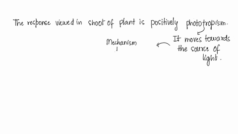 select-a-specific-example-of-how-a-plant-responds-to-stimuli-and-describe-the-mechanism-by-which-this-occurs-including-a-description-of-the-specialized-cells-involved-how-is-this-response-an-78989