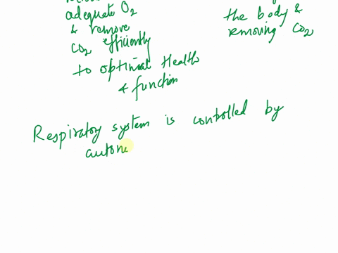 how-does-the-nervous-system-support-the-functions-of-the-respiratory-system-34842