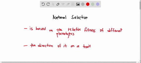 which-of-the-following-statements-about-natural-selection-are-correct-select-all-choices-that-apply-natural-selection-works-toward-goal-of-increasing-the-complexity-of-organisms-natural-sele-44312