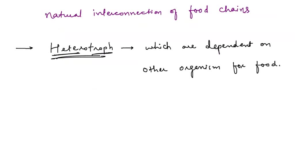 SOLVED: An example of a producer is A cows consuming grass in a field a
