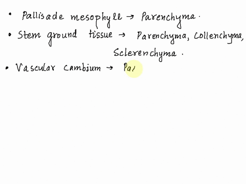 1-8-points-for-each-of-the-following-items-fill-in-the-appropriate-cell-types-and-indicate-which-items-are-meristematic-the-possible-cell-types-are-parenchyma-sclerenchyma-and-collenchyma-so-29056