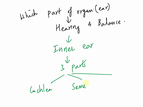 which-portion-of-the-ear-contains-the-sense-organs-for-hearing-and-balance-53056