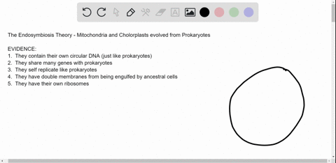 discuss-what-is-the-evidence-that-the-chloroplasts-and-mitochondria-found-in-the-eukaryotic-plant-cells-are-prokaryote-endosymbionts-37966