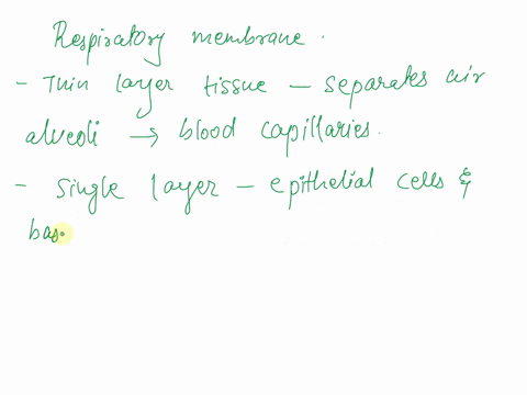what-special-characteristic-of-the-respiratory-membrane-facilitates-gas-exchange-the-large-surface-area-of-the-combined-alveoli-facilitates-gas-exchange-the-presence-of-alveolar-macrophages-03575
