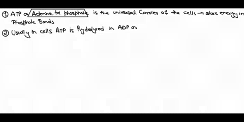 macromolecules-atp-or-is-the-universal-energy-carrier-of-cells_-impulse-conduction-adenosine-triphosphate-usually-in-cells-atp-is-hydrolyzed-into-adp-or-releasing-molecule-and-energy-adenosi-99805