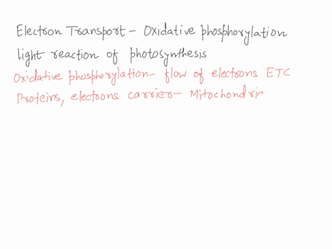 between-electron-transport-in-oxidative-phosphorylation-and-the-light-reaction-of-photosynthesis-what-is-a-similarity-and-a-difference-explain-32736