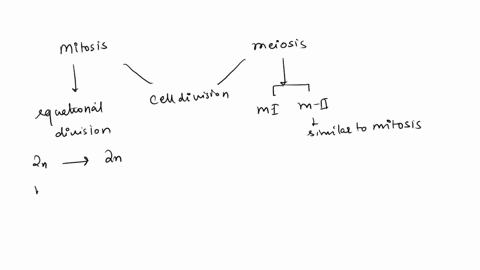 a-particular-plant-species-has-a-diploid-chromosome-number-of-20-a-haploid-cell-of-that-species-at-m-43064