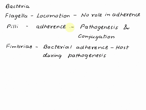 which-of-the-following-surface-structures-is-the-least-important-has-the-smallest-role-during-the-adherence-of-pathogenic-bacteria-to-the-cells-of-their-host-flagella-fimbriae-pili-71641