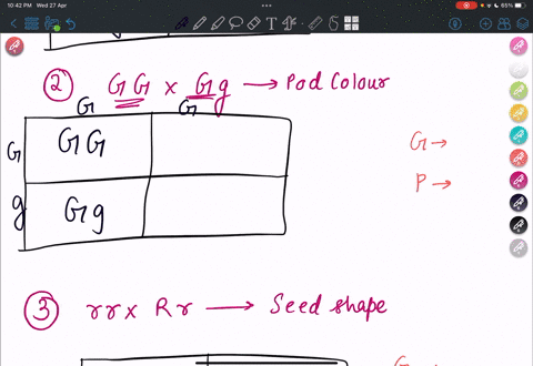 pea-plant-punnett-square-worksheet-fill-in-the-punnett-square-and-determire-v-yellow-sceds-are-dominant-over-grcen-scedi-6h-crossing-h-onozygous-recessive-and-homozygous-thc-expecled-genotyp-25593