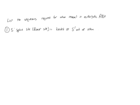 list-the-sequences-required-for-intron-removal-in-eukaryotic-rna