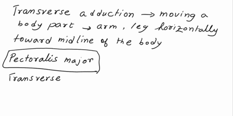 a-describe-the-movements-of-transverse-adduction-and-flexion-for-the-pectoralis-major-and-biceps-brachii-muscles-27727