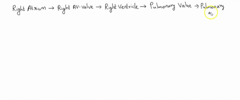 question-_-starting-with-the-right-atrium-put-the-following-structures-in-the-order-that-blood-would-flow-through-them-lungs-aorta-systemic-circulation-left-av-valve-left-ventricle-rlght-ven-70032