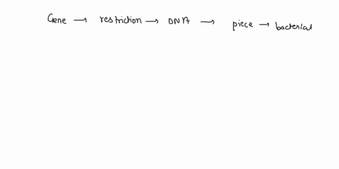 manufacturing-recombinant-dna-molecules-involves-cutting-a-gene-from-its-normal-location-inserting-it-into-a-circular-piece-of-dna-from-a-bacterial-cell-and-then-transferring-the-circle-of-d-15523