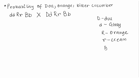 in-cucumbers-dull-fruit-d-is-dominant-to-glossy-d-orange-fruit-r-is-dominant-to-cream-r-bitter-cotyledons-b-are-dominant-to-nonbitter-b-a-cucumber-with-the-genotype-ddrrbb-was-crossed-to-a-c-04347