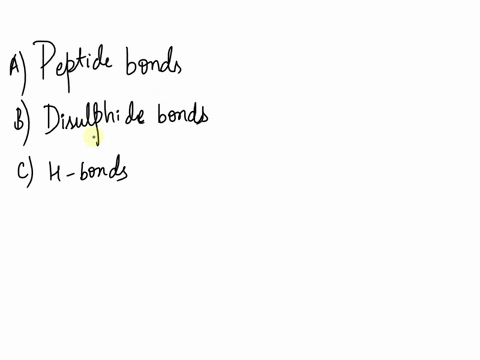 dna-strands-are-antiparallel-because-of-a-peptide-bonds-b-disulphide-bonds-c-h-bonds-d-phosphodiester-bonds-81282