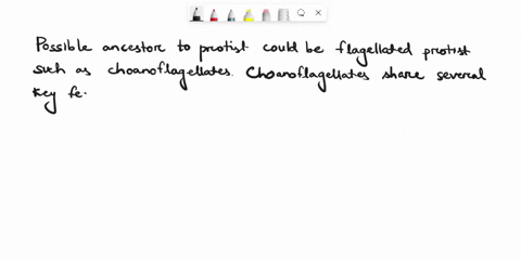describe-possible-ancestors-to-sponges-justify-your-answer-39935