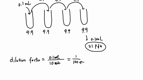 a-plaque-assay-is-performed-beginning-with-1-ml-of-a-solution-containing-bacteriophages-this-solution-is-serially-diluted-4-times-by-combining-01-ml-of-each-sequential-dilution-with-99-ml-of-11806