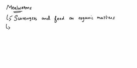 question-4-where-can-mealworms-be-often-found-dark-corners-infesting-cake-mixes-in-basments-all-of-the-above-question-5-which-stimuli-will-you-be-subjected-your-mealworm-to-check-all-that-ap-90557