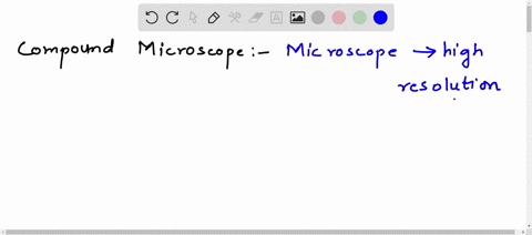 compound-microscope-explain-it-52068
