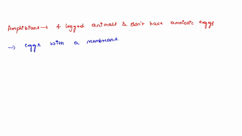 which-organism-has-four-limbs-and-produces-eggs-that-are-not-amniotic-birds-sharks-and-rays-crocodilians-amphibians-26431