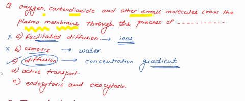 question-oxygen-carbon-dioxide-and-other-small-molecules-cross-the-plasma-membrane-through-the-process-of-facilitated-diffusion-osmosis-diffusion-active-transport-endocytosis-and-exocytosis-13337