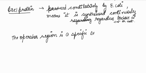 please-describe-in-full-detail-how-the-lac-operon-is-controlled-by-both-negative-gene-regulation-and-positive-gene-regulation-in-ecoli-76754