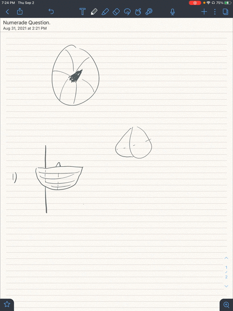 writing-cross-sections-of-television-antenna-dishes-are-parabolic-in-shape-see-figure-write-a-paragraph-describing-why-these-dishes-are-parabolic-include-a-graphical-representation-of-your-description