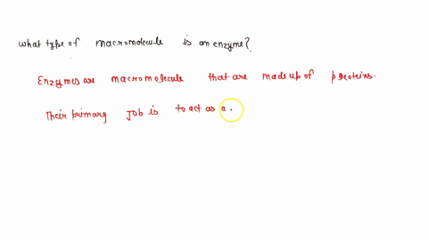 what-type-of-macromolecule-is-an-enzyme