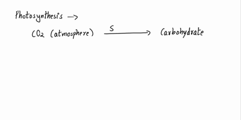 which-of-the-following-statements-best-explains-the-primary-role-of-photosynthesis-in-plant-nutrition-multiple-choice-photosynthesis-takes-solar-energy-and-converts-into-the-chemical-potenti-30966
