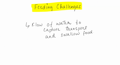 what-are-some-challenges-to-feeding-in-a-terrestrial-environment-that-completely-aquatic-vertebrates-do-not-face-06855