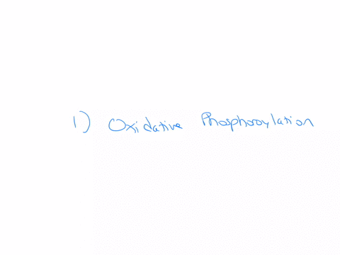 which-of-the-following-pathways-is-responsible-for-the-production-of-atp-in-vibrio-fischeri-group-of-answer-choices-1-oxidative-phosphorylation-2-glycolysisgluconeogenesis-3-citric-acid-cycl-41972