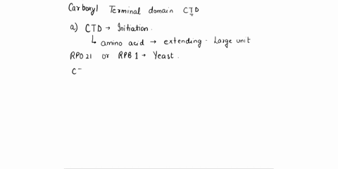 the-carboxyl-terminal-domain-ctd-of-the-largest-subunit-in-rna-polymerase-ii-rpb1-has-an-important-role-in-the-transition-from-the-initiation-complex-to-the-elongation-complex-a-what-feature-40587