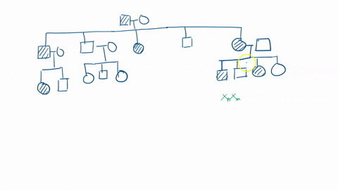 the-inheritance-pattern-for-an-autosomal-dominant-trait-is-shown-in-the-pedigree-shaded-symbols-represent-individuals-that-express-the-dominant-trait-pedigreeshaded-symbois-represent-individ-10155