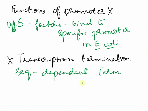 which-statement-about-the-function-promoters-talse-different-factors-in-coli-are-specific-certain-promoters_-the-tactor-directs-the-binding-of-the-coli-core-rna-polymerase-promoter-in-eukary-94513
