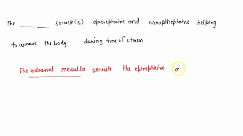 the-____-______-secretes-epinephrine-and-norepinephrine-helping-to-arouse-the-body-during-times-of-s-21538