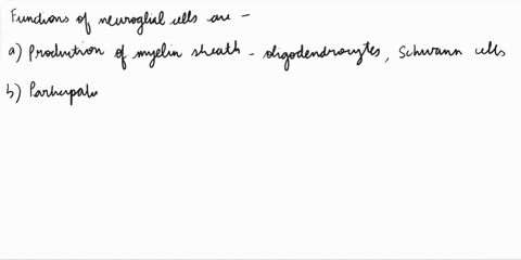 which-of-the-following-is-not-a-function-of-neuroglial-cells-a-produce-a-myelin-sheath-b-participate-in-metabolism-of-neurotransmitters-c-generate-action-potentials-d-give-support-to-neurons-76813