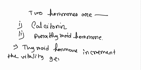 what-hormones-affect-the-bone-growth-and-development-and-their-effects-11622