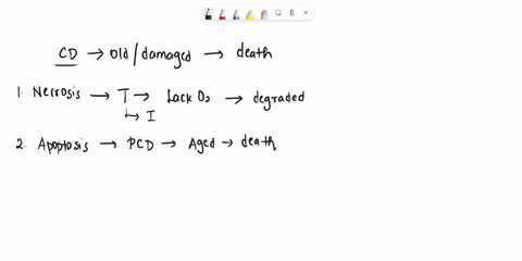 in-addition-to-necrosis-and-apoptosis-two-other-patterns-of-cell-death-have-been-described-that-have-unusual-features-they-are-the-subjects-of-considerable-current-research-and-it-is-useful-31318