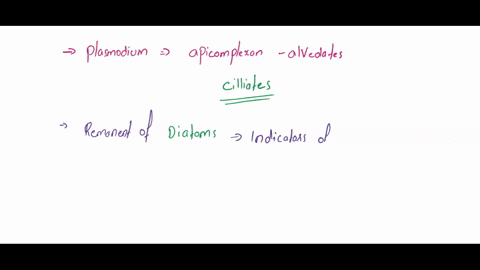 1-plasmodium-is-most-closely-related-to-the-a-oomycetes-bamoebas-c-ciliates-d-diplomonads-e-euglenoids-2-remnants-of-____-are-good-indicators-of-oil-deposits-a-green-algae-b-dinoflagellates-87758