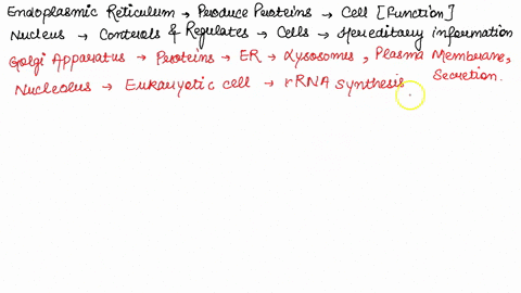 plant-cell-endoplasmic-reticulum-nucleus-golgi-apparatus-chloroplast-nucleolus-vacuole-peroxisome-mitochondria-ribosome-cell-membrane-amyloplast-cell-wall-cytoplasm-40133