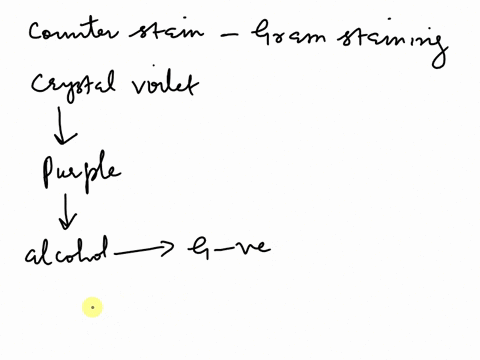 bacterial-cells-are-distinguished-into-two-classes-of-bacteria-gram-positive-and-gram-negative-this-process-is-accomplshed-by-performing-the-gram-stain-when-performing-the-gram-stain-after-d-21168