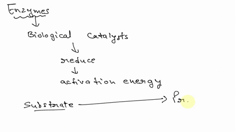 most-enzymes-have-similar-overall-globular-shape-but-each-enzyme-has-an-active-site-with-unique-structure-that-matches-thc-enzyme-function-0ucose-active-sile-the-diagrams-above-show-how-the-39196