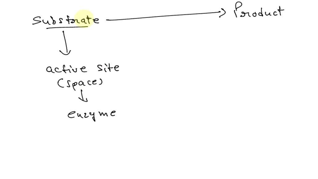 SOLVEDMost enzymes have similar overall globular shape, but each