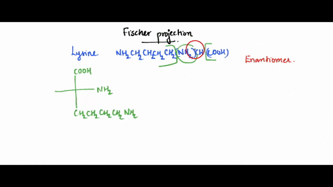 draw-fischer-projections-of-the-enantiomers-of-the-amino-acid-lysine-nhzchzchzchzchzchnhzjcoqh-indicate-the-stereocenter-and-assign-the-configuration-for-the-chiral-carbon-74483