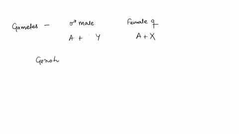 a-normal-female-drosophila-produces-abnormal-eggs-that-contain-all-of-her-chromosomes-a-complete-dip-04907