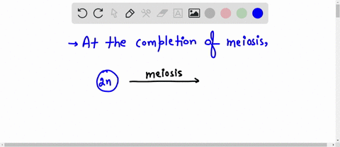 question-14-1-point-at-the-completion-of-meiosis-you_-have-the-same-amount-of-dna-per-cell-as-the-parent-cell-have-twice-the-amount-of-dna-as-the-parent-cell-eliminated-half-of-the-heterolog-88302